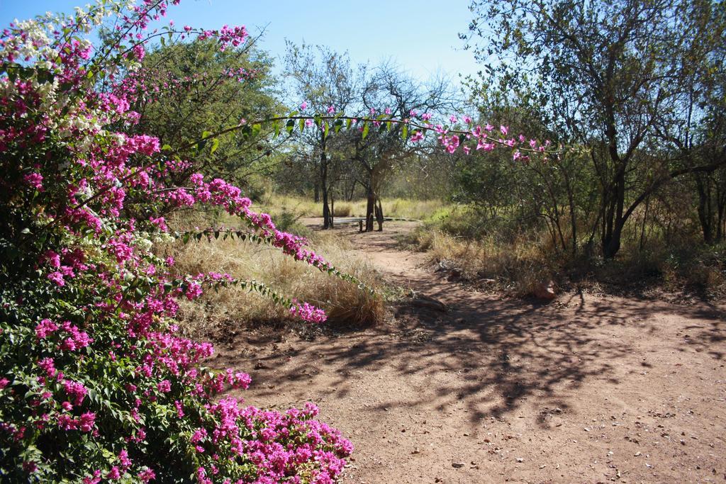 Normann Safari Bush Lodge ファラボルワ エクステリア 写真
