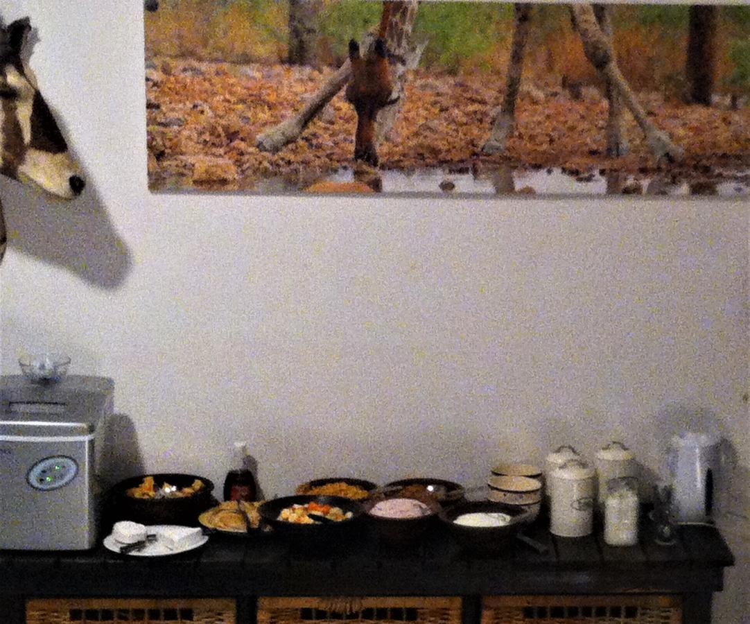 Normann Safari Bush Lodge ファラボルワ エクステリア 写真